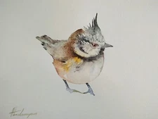 Tufted titmous,  Birds, Watercolor artwork, Handmade, Original painting on paper