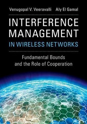 Interference Management in Wireless Networks: Fundamental Bounds and the Role of