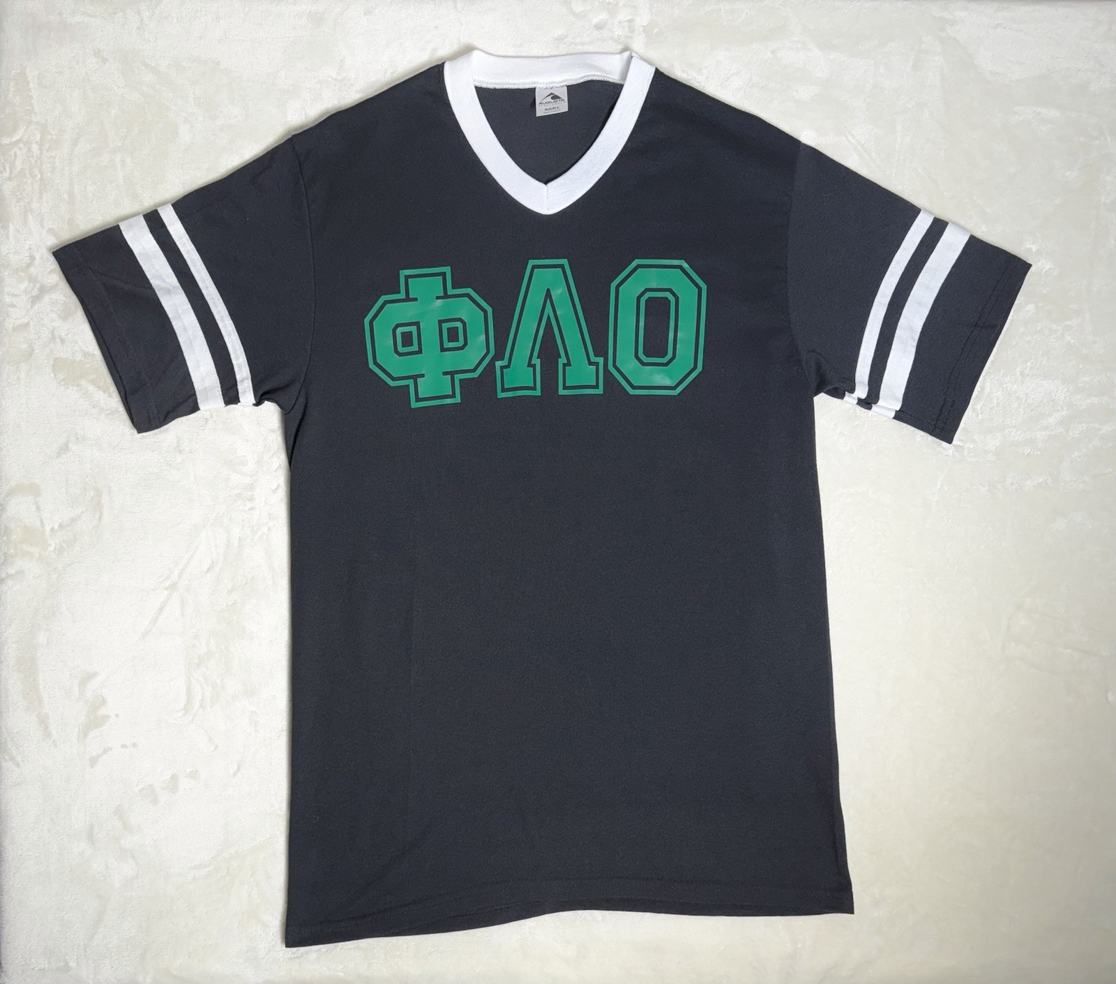 VTG Phi Lambda Omicron Fraternity Chapter Pacific… - image 1