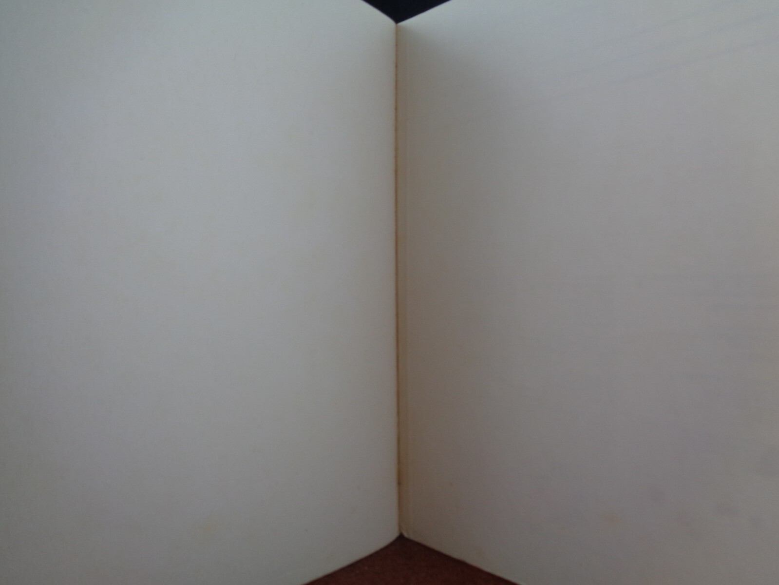 Bild 100 von 436