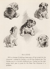 English Bulldog "5" - CUSTOM MATTED - Vintage Dog Art Print - 1946 Dennis