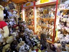 Bild 9 von 13