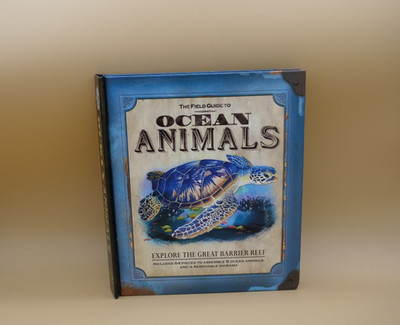 Ocean Animals - Hardcover By Phyllis Perry