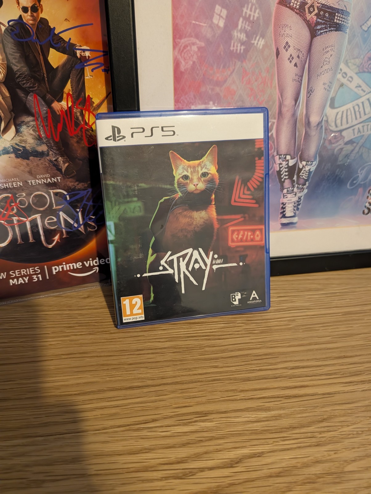 Stray (PS5, PlayStation 5)