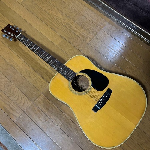 Morris W18 Acoustic Guitar