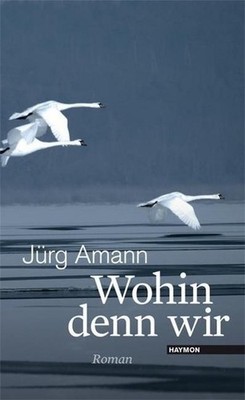 Wohin denn wir. Roman, Jürg Amann