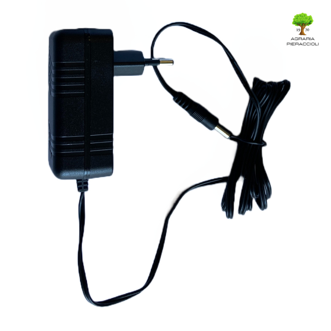 Carica Batterie Loncin ST170 LS 1P65FE | Ricambio Top Giardinaggio