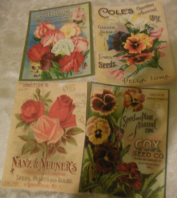 Set of 16 LARGE Vintage Seed Catalog Cover images-Flowers-1800's to early  1900's | eBay
