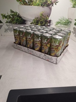 Dubai Drink Fresh 0,33 Liter Dose, 24er Pack￼inkl. 6  Pfand MHD 16.12.25 UVP 49 
