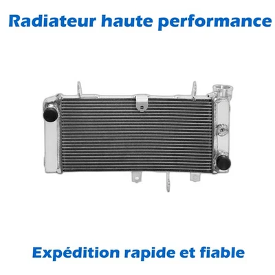 Aluminum Radiateur de l'eau pour Suzuki SV650 2017 2018 2019 2020 2021 2022 2023 - Photo 1/4