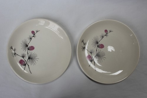 Zwei (2) Vintage Wildklee Salat 7,5" Teller | Canonsburg Allegheny Ware