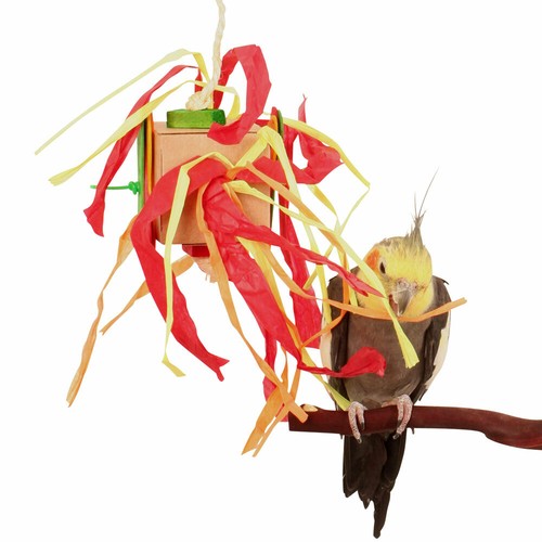 Shred & Spin Box Chewable Foraging Parrot Budgie Cockatiel Lovebird