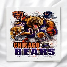 Chicago Bears Fabric Panel for Quilting Sewing Crafting NFL Quilt Block