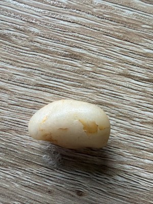 Smooth River Pebble Cream White Natural Stone Collectible