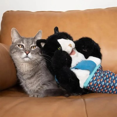 Katzenspielzeughandschuh Interaktive Handpuppe Plüschtier Spielzeug