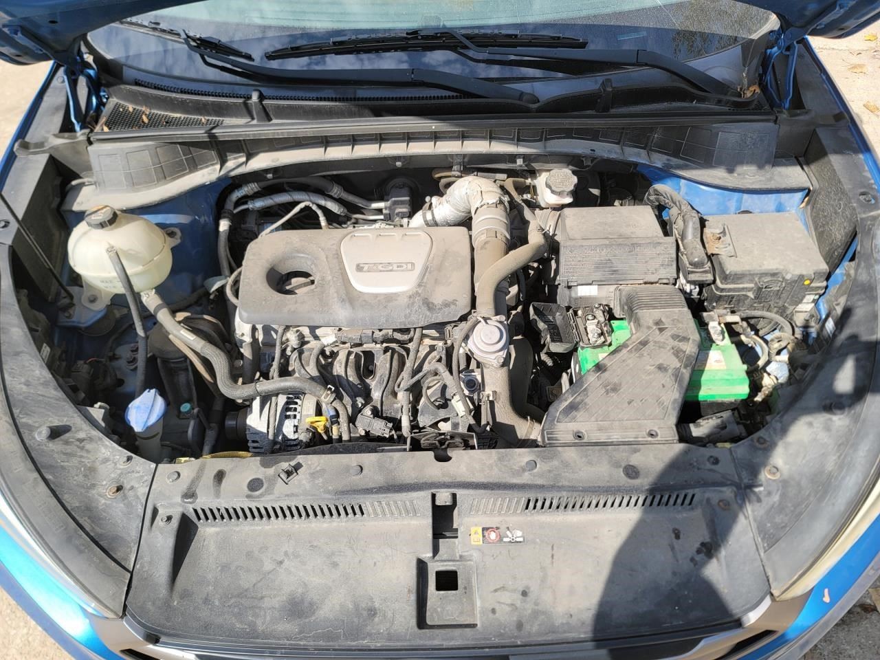Picture 4
