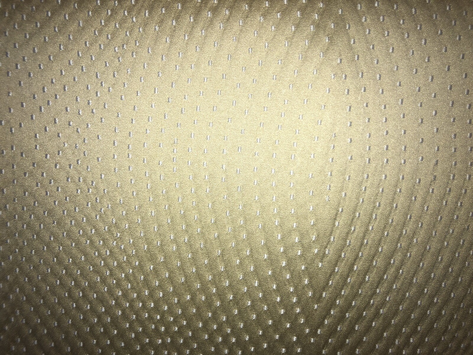 Picture 5 of 11