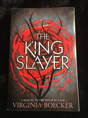 The King Slayer (Sequel to The Witch Hunter)