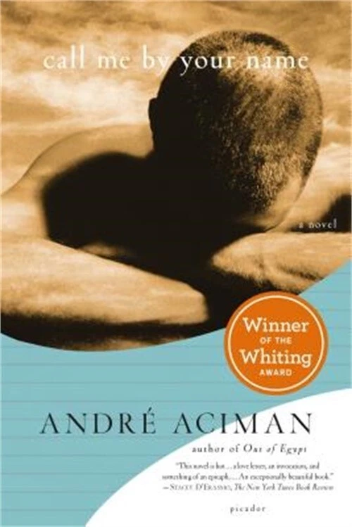 Call Me by Your Name Paperback or Softback 9780312426781 eBay