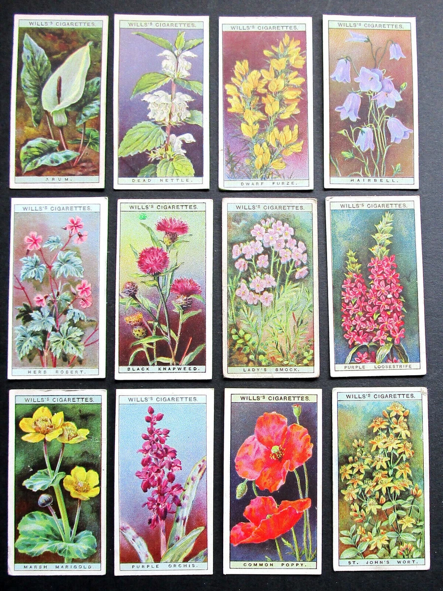 Cigarette Cards Wild Flowers in Collectable Will's Cigarette Cards  (1918-1939) for sale