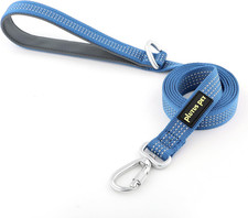 Heavy Duty Dog Leash with Lockable Aluminum Carabiner, 4/6 Feet Long, Double-Sid