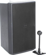 JBL Control 30 250W 10-inch Indoor / Outdoor Non-powered Speaker + Allen Wrench
