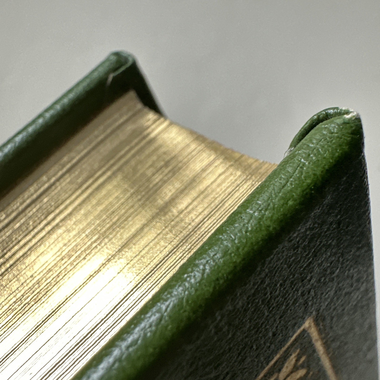 Picture 4 of 10