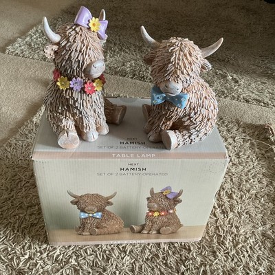 NEU UND VERPACKT Lovely Next 2er Set natürliche Hamish batteriebetriebene Funktion Tischleuchten