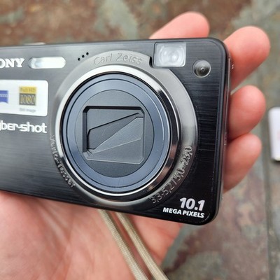 Sony Cyber-shot DSC-W170 10.1MP Digital Camera - Silver (DSC-W170