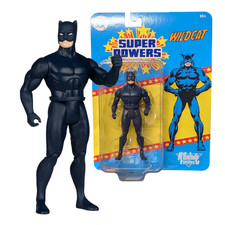 Wildcat McFarlane Toys DC Super Powers Wave 14 4.5 inch Scale Action Figure EE