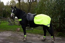 HI VIZ YELLOW HORSE QUARTER RUG - FLUORESCENT EXERCISE SHEET