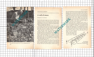Tom Williamson Trockenmauer - 1983 kleiner Artikel