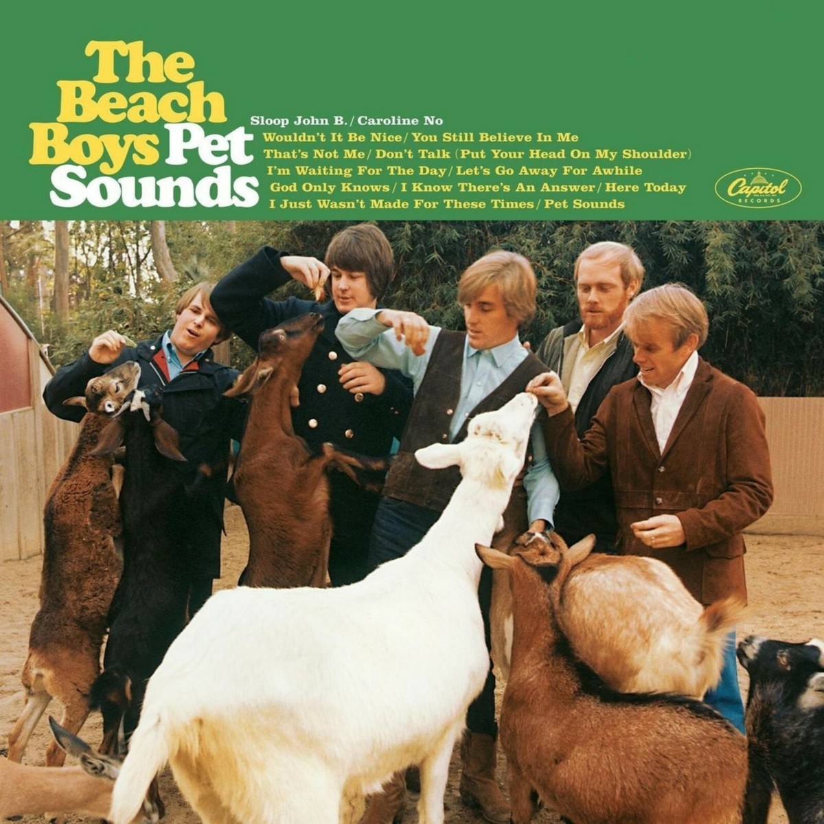 The BEACH BOYS Pet Sounds BANNER HUGE 4X4 Ft Fabric Poster