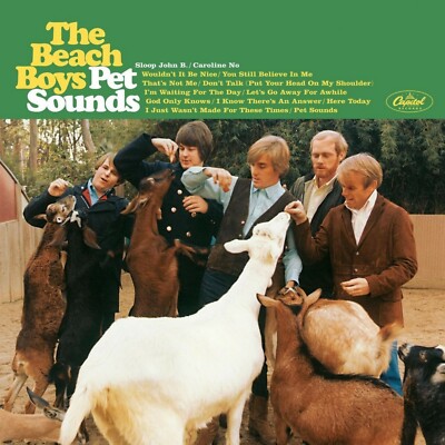 The BEACH BOYS Pet Sounds BANNER 2x2 Ft Fabric Poster Tapestry