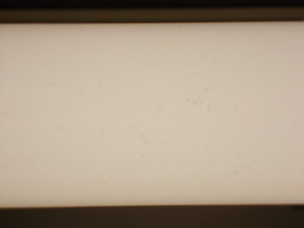 Picture 7 of 7