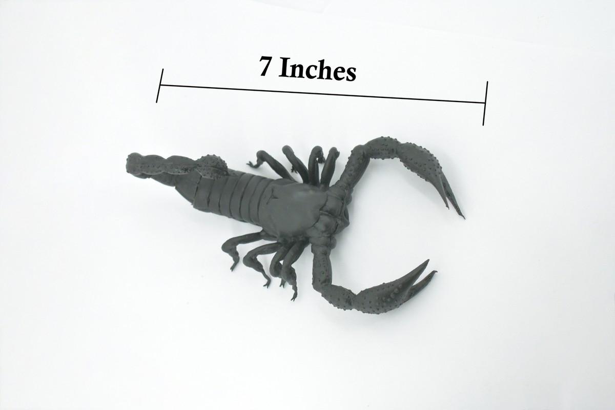 Scorpion, Black Rubber, Realistic, Figure, Model, Toy, Kids, Gift