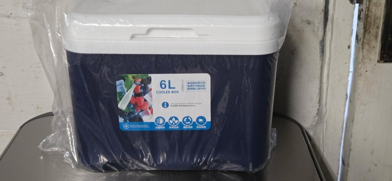 Cooler Box 6L with Handle Personal Portable Ice Box Ice Chest Small Hard