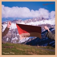 Virginia Wing: Ecstatic Arrow - 375 Media - (Cd / E)