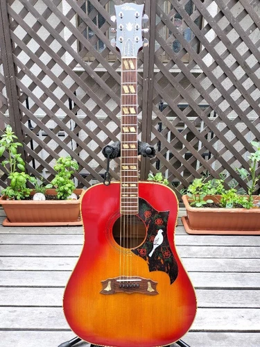 Gibson Dove Red Sunburst Acoustic Guitar 1970s Rare Serial Vintage