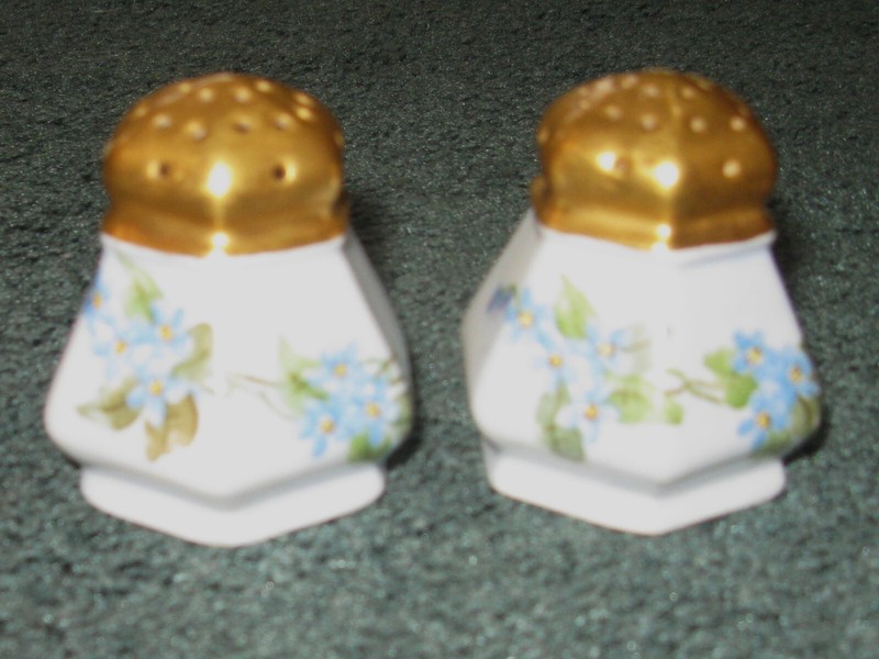Vintage Antique Fine White China Salt & Pepper Shaker Set Flowers Vienna Austria