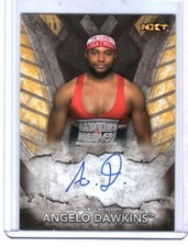 2016 Topps WWE NXT Wrestling Cards 13