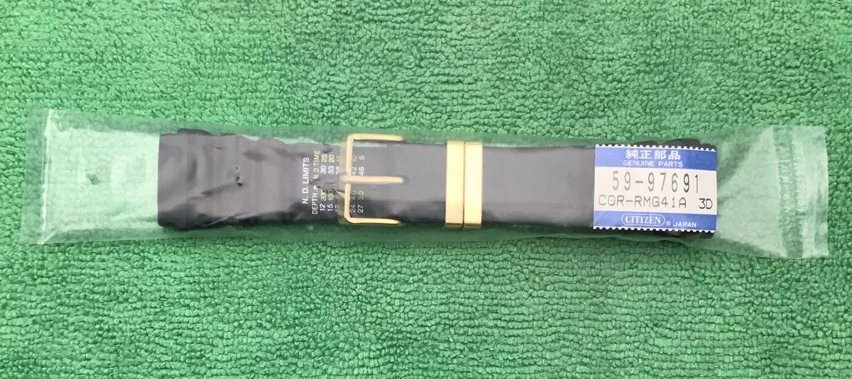 Citizen 24mm shop watch band