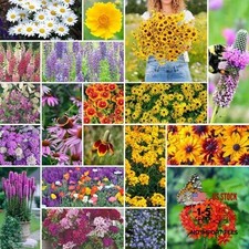  Wildflower Mixed Seeds for Planting, 5 lb, 2,400,000+ 5 Pounds All Perennial 70.97 per gallon