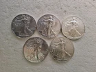 Lot Of 5 American Eagle Silver Dollars 2012 Fresh From Tube Uncirculated