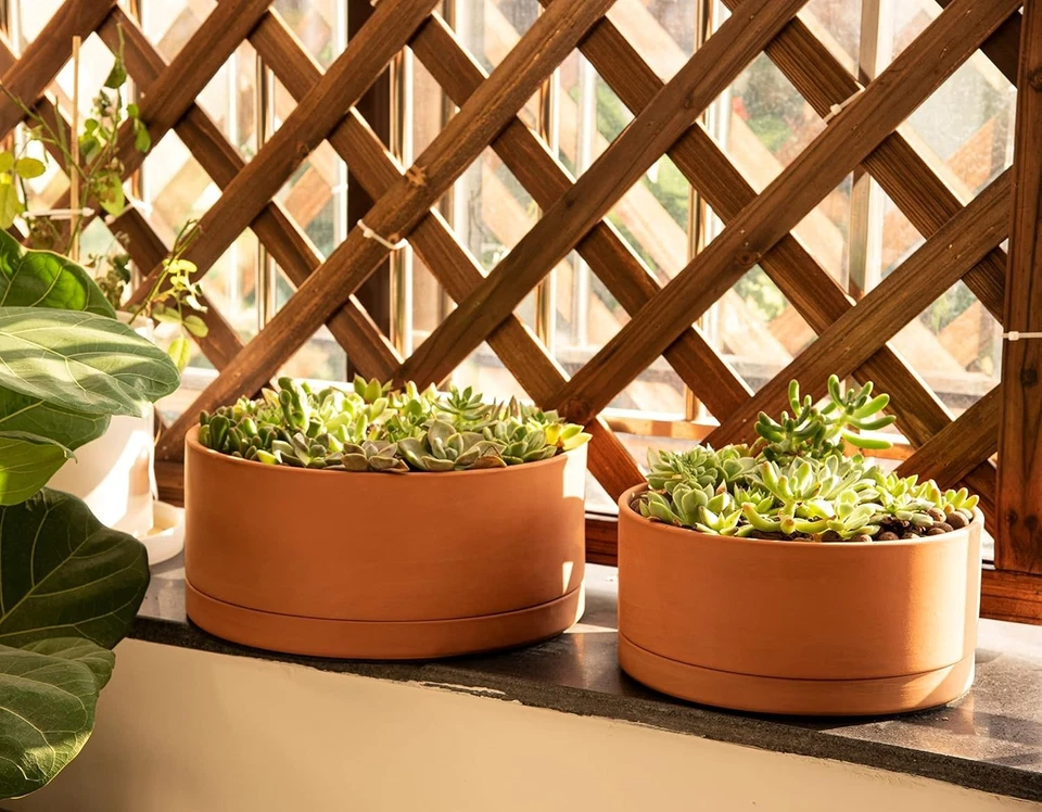 Handcrafted 12-Inch Round Terracotta Planter Pot with Drainage Hole and Saucer - Image 4 of 4