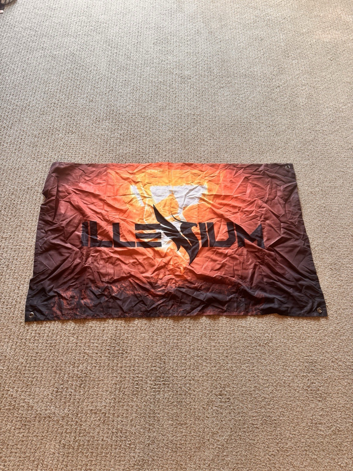 Phoenix Fire Banner Flag | Festival Decor 3x5