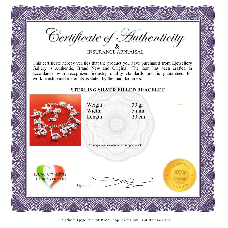 Brazalete Tradicional Sólido Relleno Plata de Ley 925 Real 20cm Foto 3 de 4