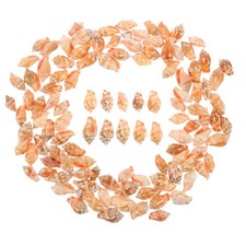 100 Pcs Seashells for Landscaping Decorative Crafts Conch Desktop