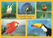 D256780 Friendly Faces at Leeds Castle Toco Toucon Judges C 13093 X Multi View