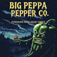 [DITMARSHER MICRO DWARF] *RARE* TOMATO SEEDS 